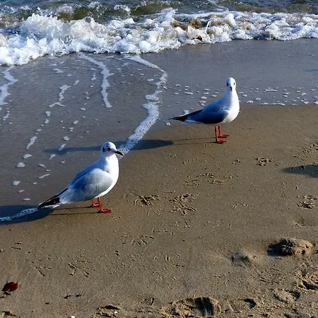 14 - Sofia Haus Huehnergott شقة